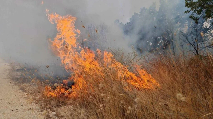 QMK  Janë regjistruar 11 zjarre në ambiente të hapura