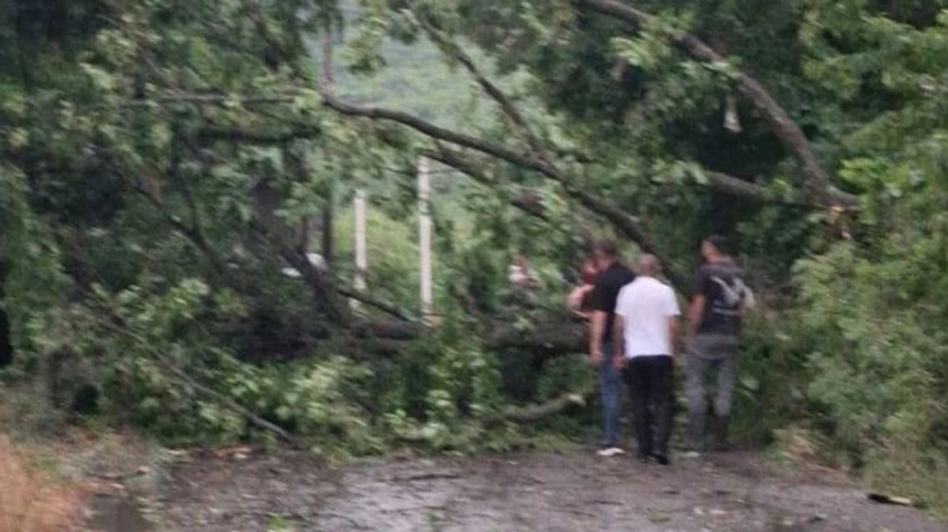 Moti i ligë shkakton dëme në Gjakovë  rrëzohen drunj dhe dëmtohen shtylla elektrike në Gërgoc e Cërmjan