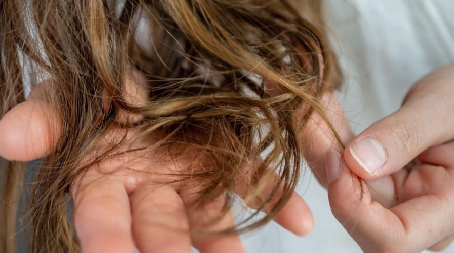 Një mostër floku mund të ndihmojë në zbulimin e hershëm të Parkinsonit – ja çfarë tregojnë gjetjet
