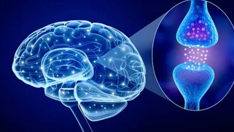 Flokët si tregues i hershëm i sëmundjes së Parkinsonit, çfarë zbuluan shkencëtarët