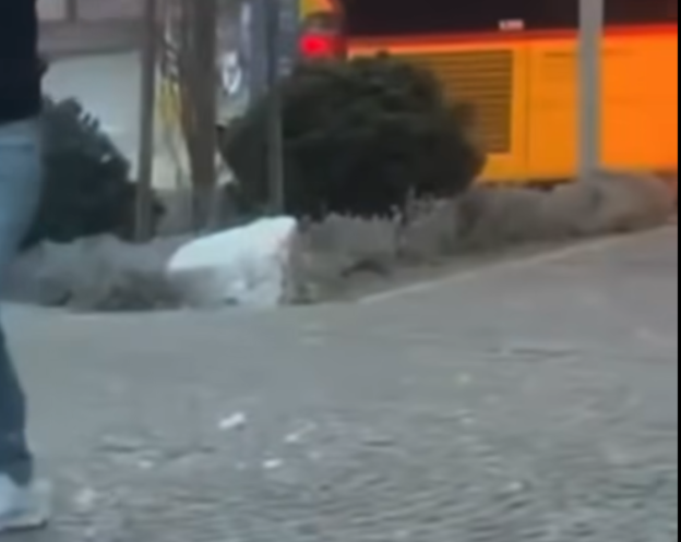 “O nuk e di bre, një…” – në momentin e djegies së autobusit në Zvicër dikush dëgjohet duke folur shqip