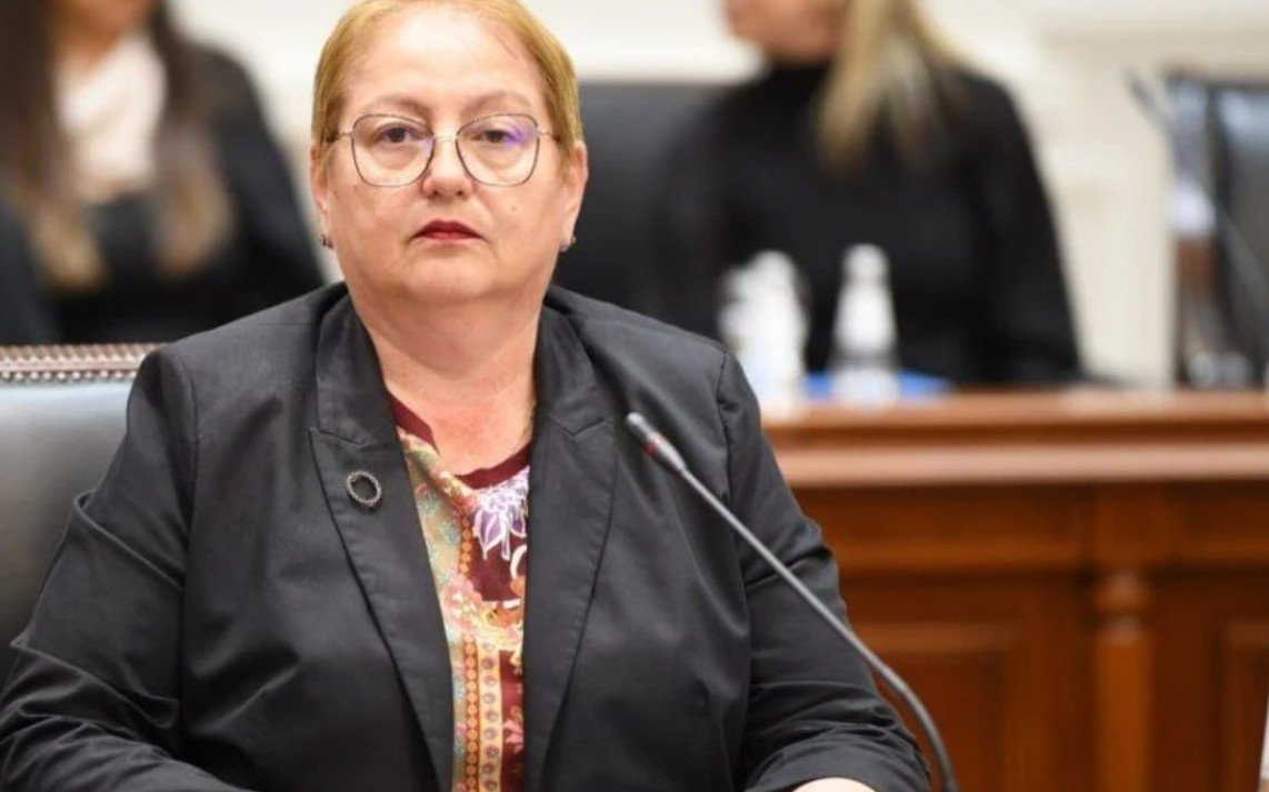 Janevska: Ligji për arsim të lartë nuk tërhiqet, profesorët kanë dy opsione