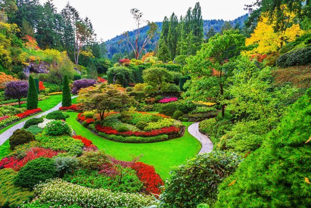 Kopshtet Butchart në Ishullin Vancouver 
