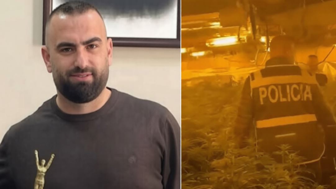 4.000 rrënjë hashash rriteshin me llampa në shtëpinë e tij, drejtori i Burgut të Rrogozhinës paraqitet në Polici pasi u shpall në kërkim