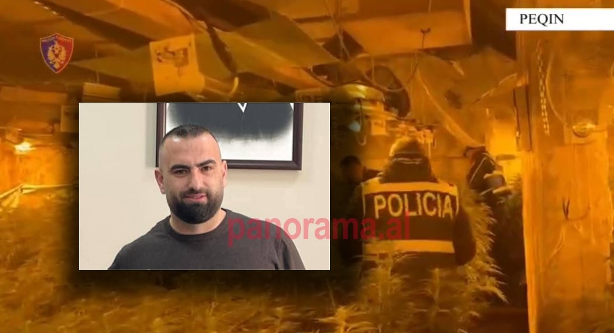 Iu gjetën katër mijë rrënjë kanabisi në banesë, lirohet drejtori i burgut të Rrogozhinës, Bilal Hasa! Në kërkim i vëllai