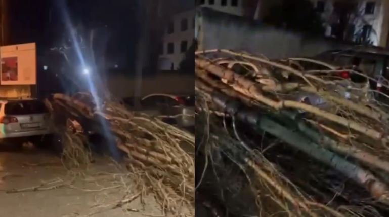 Era e fortë rrëzon pemët në Vlorë, shembet muri rrethues i shkollës