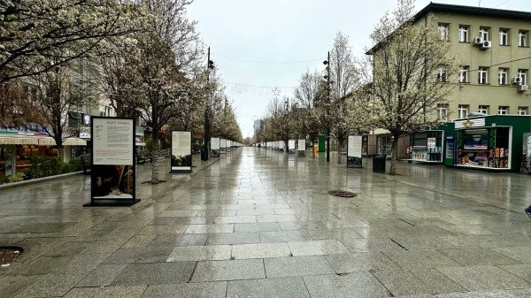 ​PDK kërkohet llogaridhënie për ekspozitën