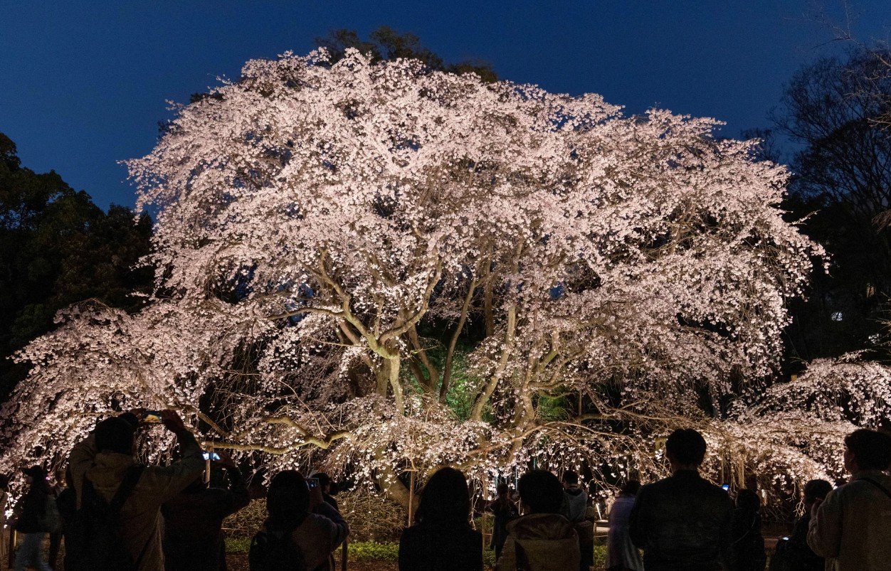 Tokio, Japoni