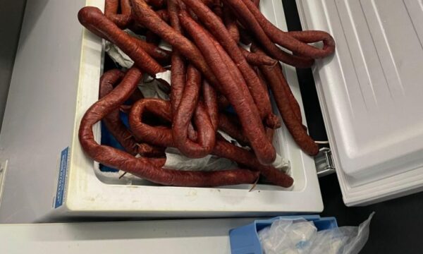 Shtutgart: Në autobusin nga Kosova doganierët gjejnë 250 kilogramë mish dhe një qenush 