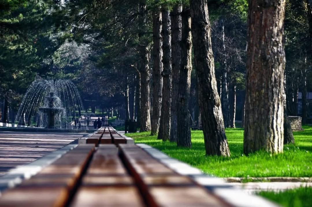 Sitna e pranver&euml;s sjell kudo pamje mbresl&euml;n&euml;se / Foto: E.Rama
