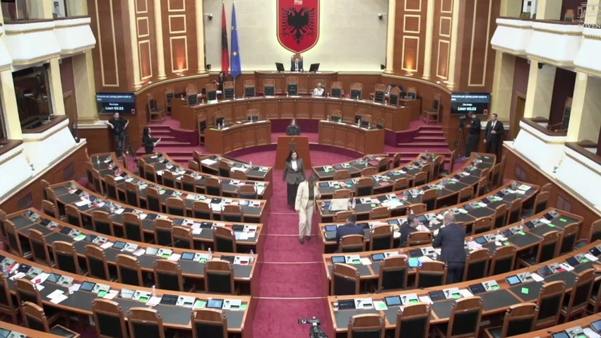 Debati për dialektin në Parlament  gjuhëtarja  Duhet të ruhet gjuha standarde  ndryshe do kemi  anarki 