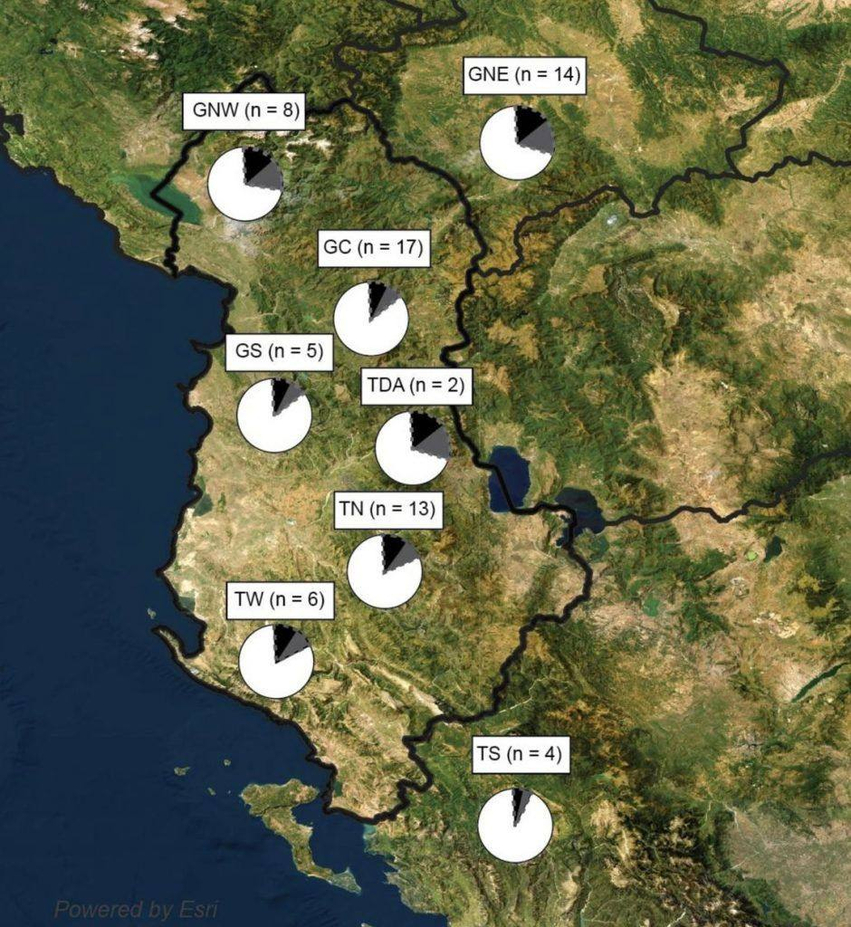 Origjina e shqiptarëve sipas ADN së së lashtë dhe gjenetikës së popullatave