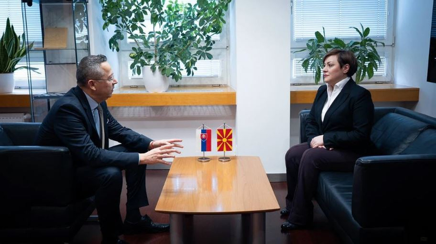 Dimitrieska Koçoska   Kamenicki  Sllovakia do të ndajë përvojën e saj me Maqedoninë në zbatimin e reformave
