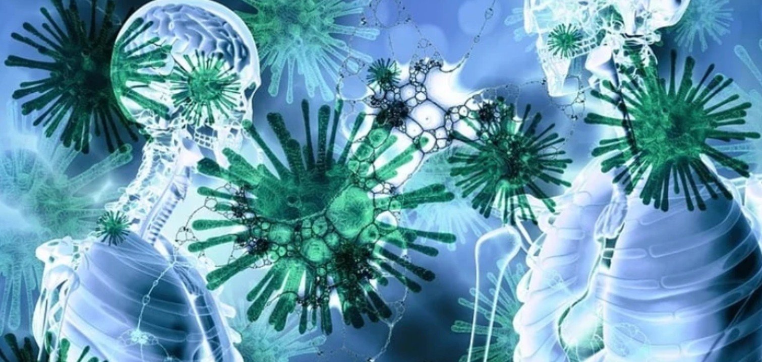 ISHP: Për momentin në Maqedoni nuk ka raste të regjistruara me hantavirus