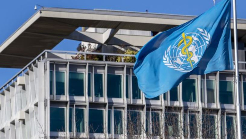 OBSH  Rreziku nga hantavirusi mbetet i ulët