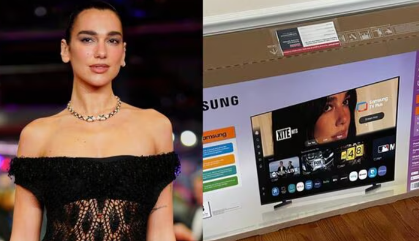 dua-lipa-ne-beteje-ligjore-kush-rrezikon-t-i-paguaje-15-milione-dollare