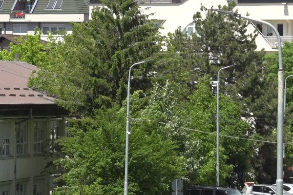 ​Erëra të forta në Prishtinë, Fushtica: S’ka arsye për panik