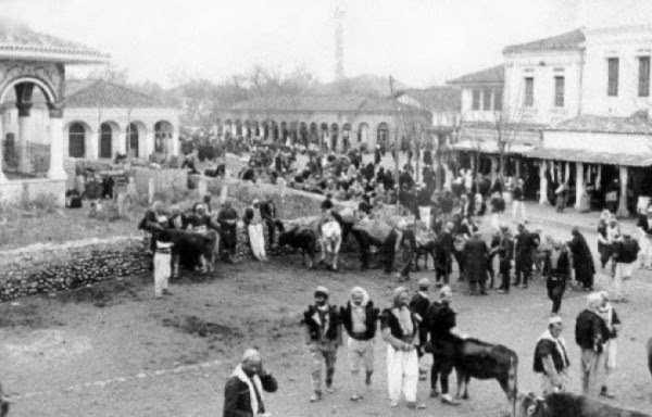​Informacioni që mohonte propagandën për Shqipërinë