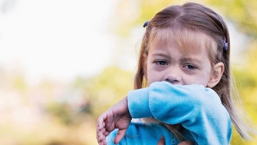 Hunda e bllokuar  lodhja dhe dhimbja e kokës  Virusi që po mbush ambulancat dhe shpesh ngatërrohet me alergjinë