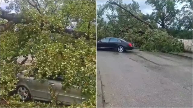 Moti i keq shkakton probleme dhe në Durrës! Rrëzohen pemët në zonën e Plepave