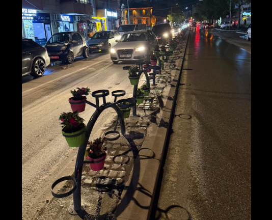 Vidhen lulet e vendosura në Mitrovicë