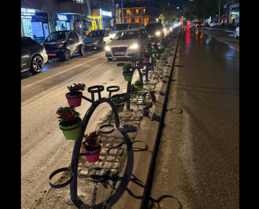 Vidhen lulet e vendosura në Mitrovicë