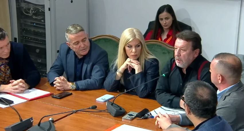  Studentët tanë paguhen më shumë se ne   Manjola Nallbani në Komisionin e Kulturës  Doktoratura s mund të jetë kriter që të japim mësim
