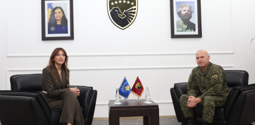 jashari-e-haxhiu-flasin-per-procesin-e-tranzicionit-te-fsk-se