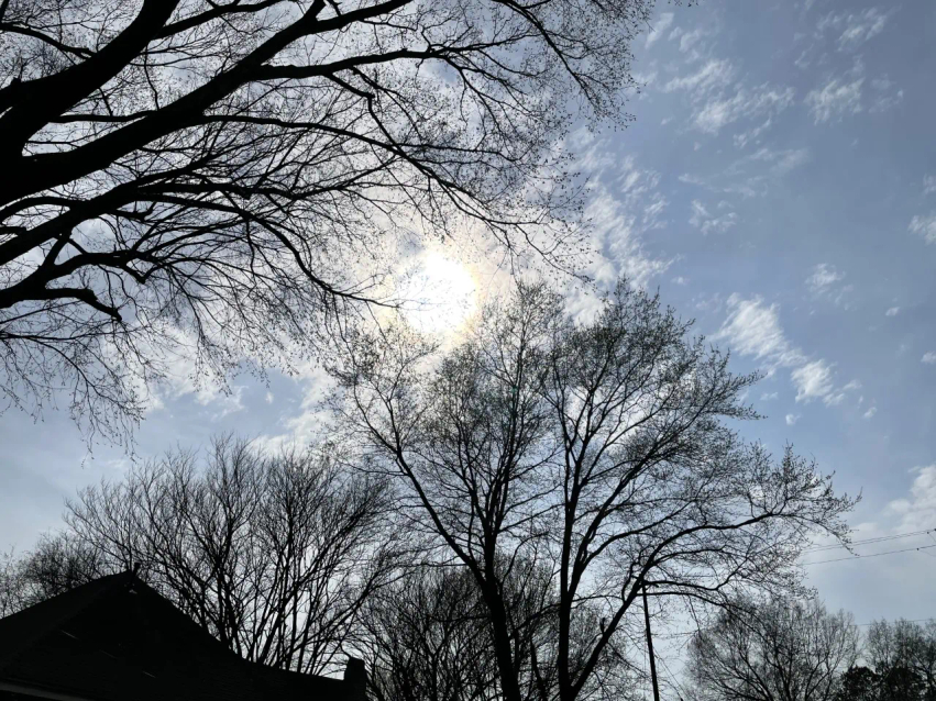 mot-me-diell-temperaturat-arrijne-ne-21°c