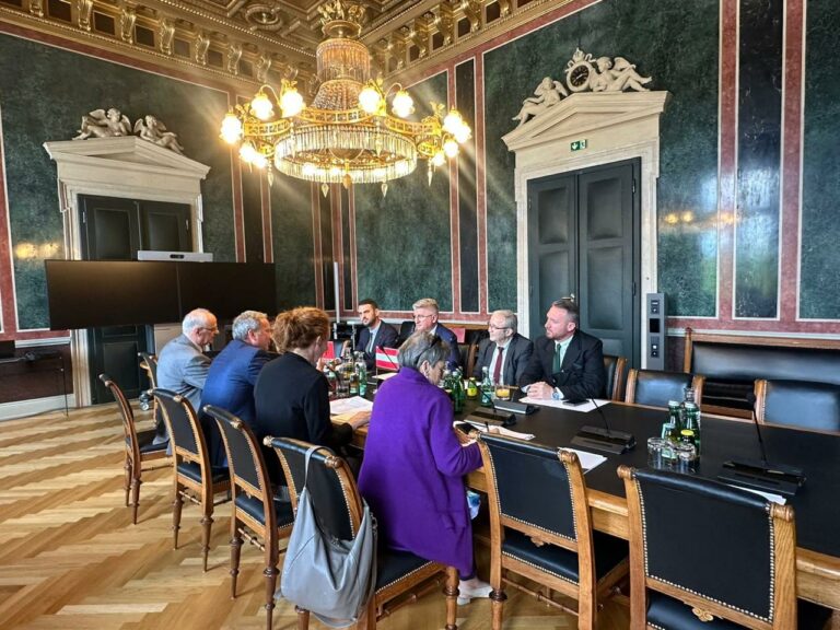 Agron Gjekmarkaj në Parlamentin e Austrisë: Integrimi europian të bazohet te demokracia dhe shteti i së drejtës