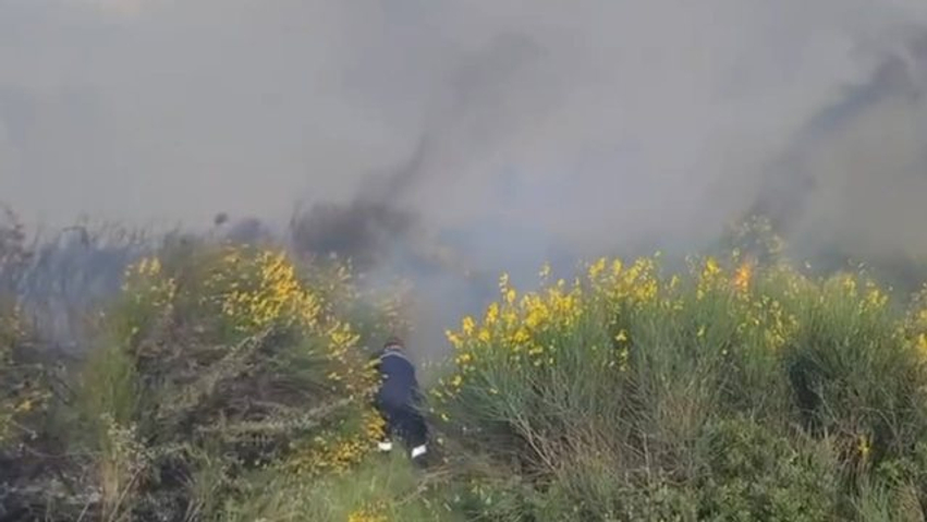 Zjarri përfshin Panajanë në Vlorë  Flakët përhapen me shpejtësi drejt kodrave dhe ullishteve nga era e fortë