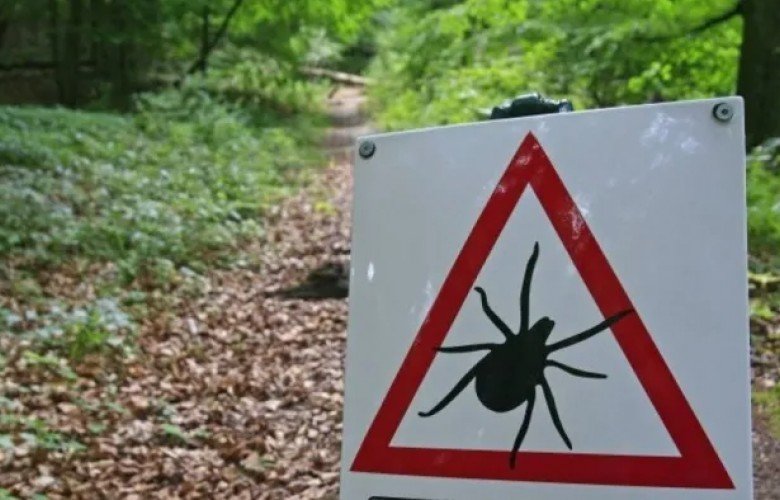 Inaugurohet sot projekti për dezinsektimin kundër etheve Krime-Kong
