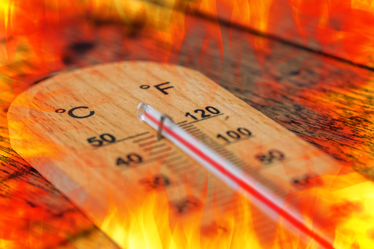 Valë ekstreme të të nxehtit dhe thatësira, OKB: Deri në 2030 do të kemi temperatura rekord