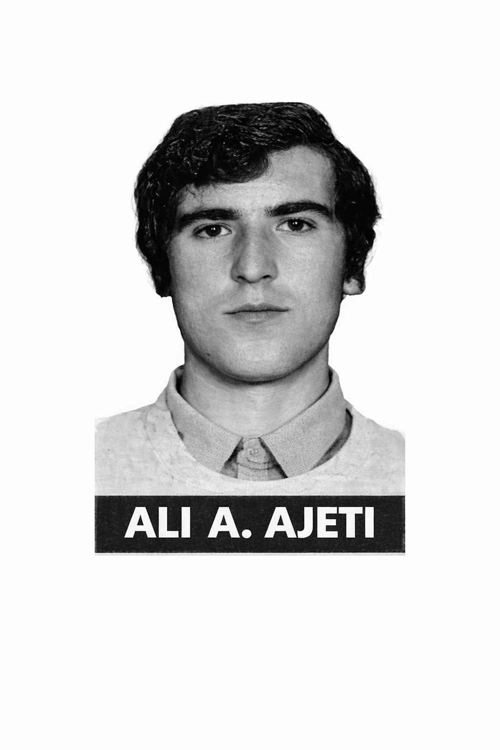 Betimi i një guerili