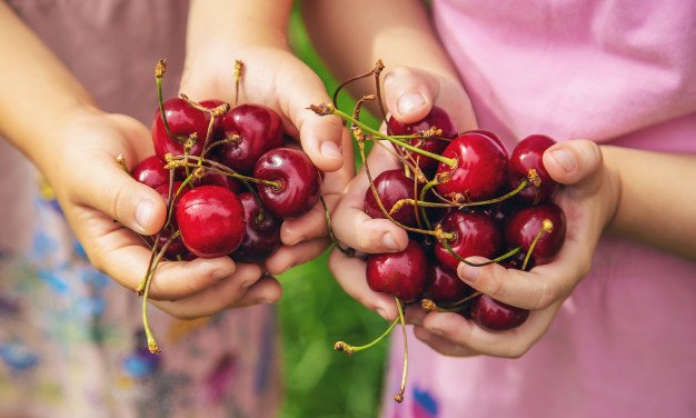 6 përfitimet që merr trupi nga konsumimi i qershive…