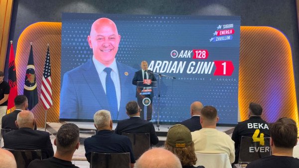 Gjini: Do të kisha bashkëqeverisur edhe me Kurtin, nëse...