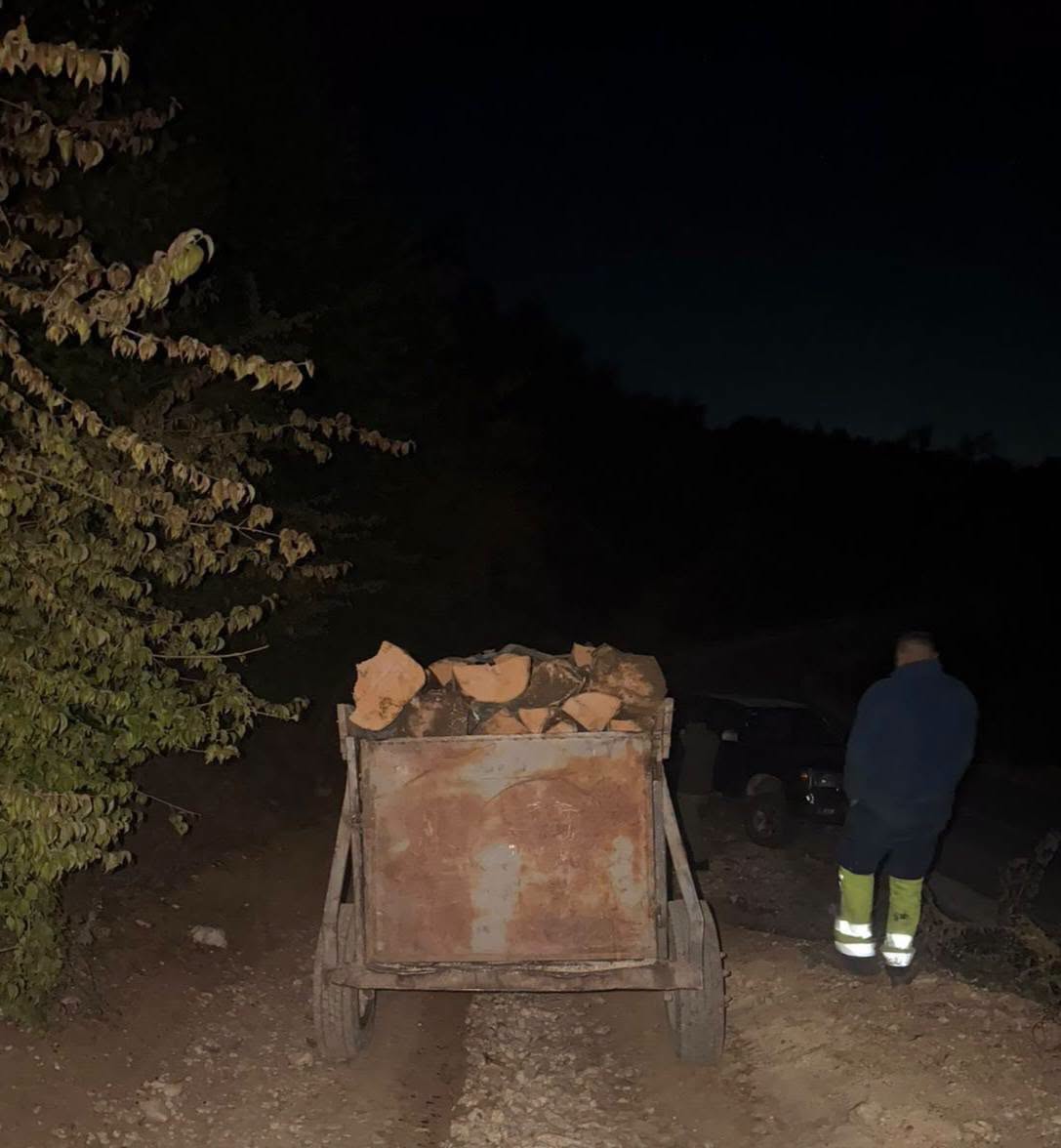Në orët e hershme të mëngjesit, ndalohen tri mjete me dru në Ferizaj e Shtërpcë