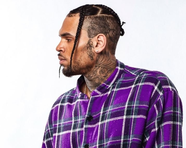 U sulmua nga qeni i Chris Brown, përfiton 9.5 milionë dollarë