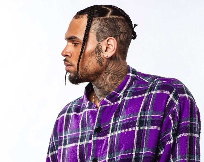 u-sulmua-nga-qeni-i-chris-brown-perfiton-9-5-milione-dollare