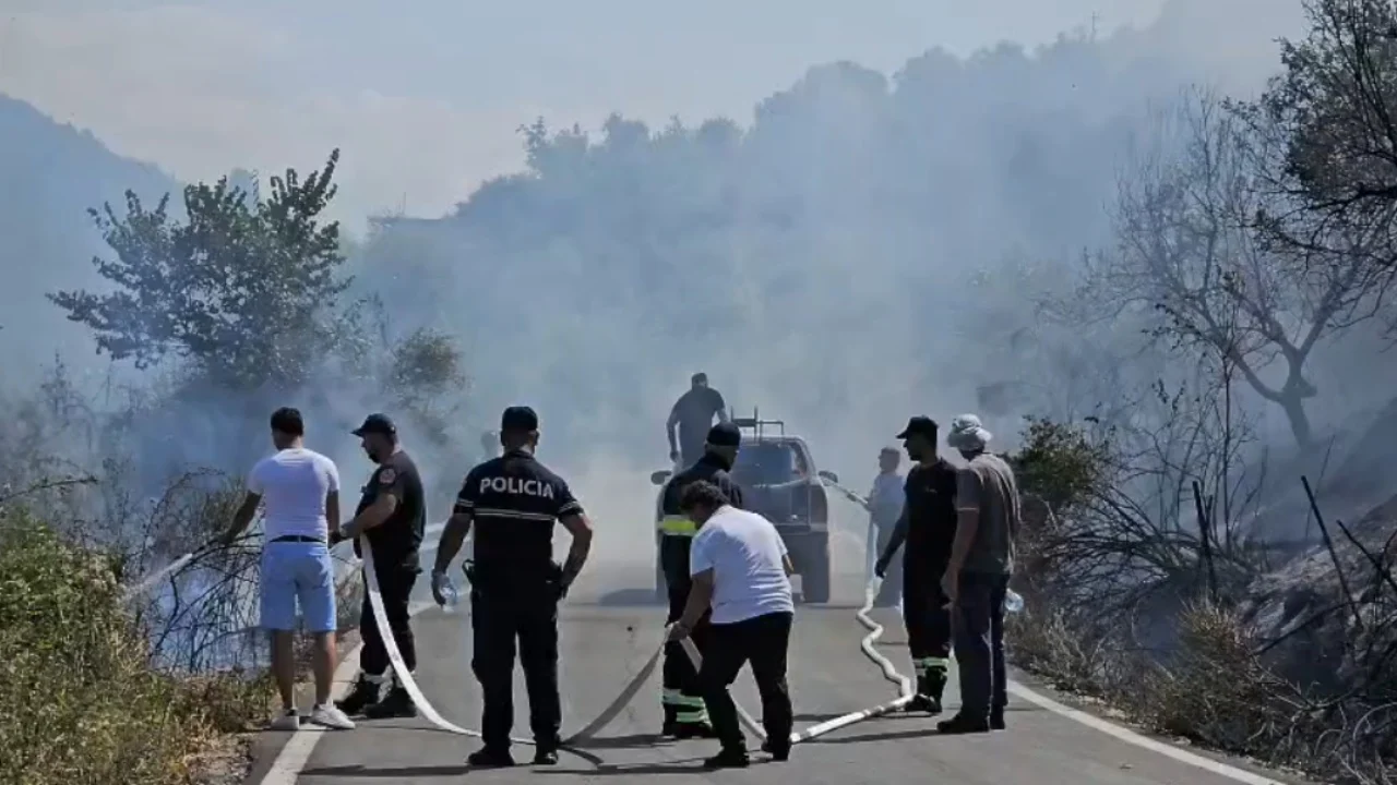 Po përpiqej të shuante flakët që ndezi vetë, ndërron jetë 76-vjeçari në Mallakastër, viktima e parë nga zjarret në këtë zonë
