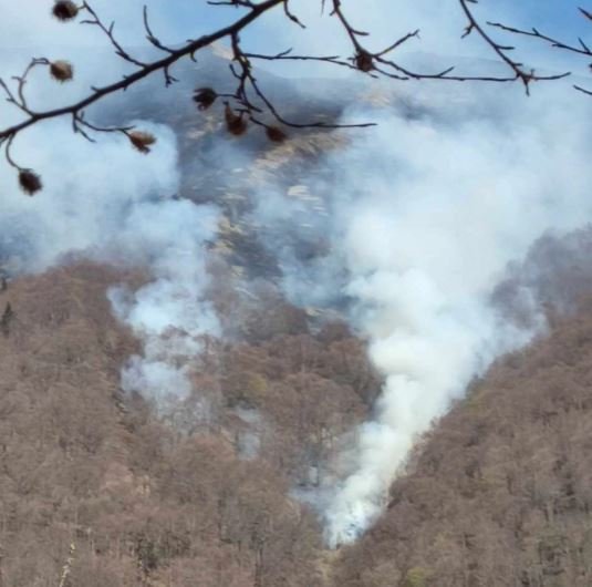 Zjarr i madh ka shpërthyer sot mbi Liqenin e Bogovinës, në Malin Sharr