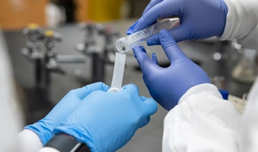 A është rikthyer murtaja në Siberi  Panik në Rusi pas vdekjes së punëtores së laboratorit