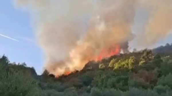 Zjarr i madh në fshatin Haspiraj të Peqinit