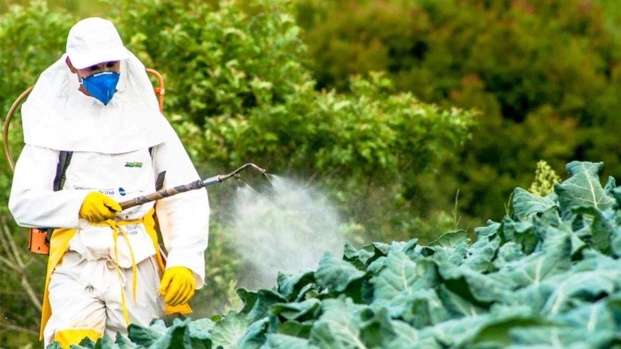 Pesticidet e ndaluara në treg, KLSH: U zgjatën afatet për dhjetë pesticide të ndaluara në BE, mungon kontrolli