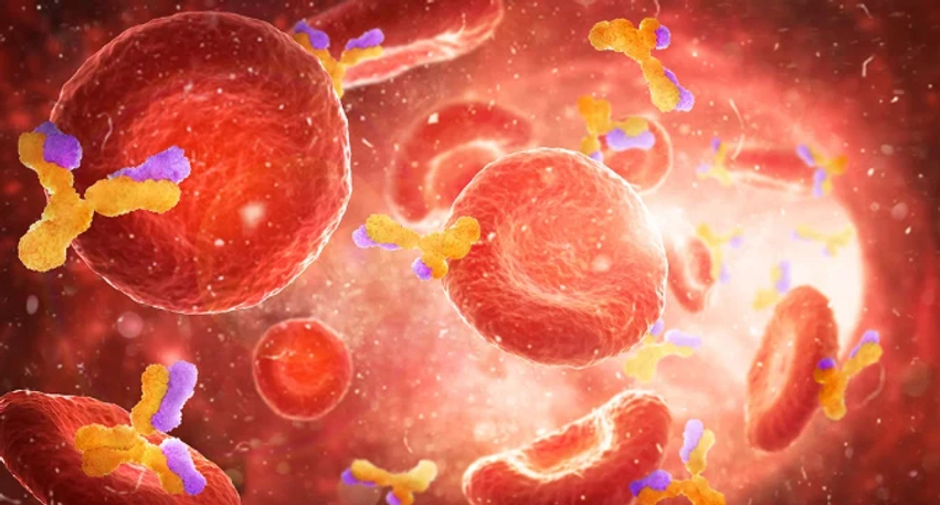ndryshimet-ne-gjak-mund-te-zbulojne-semundjet-inflamatore-te-zorreve-deri-ne-dhjete-vjet-para-diagnozes