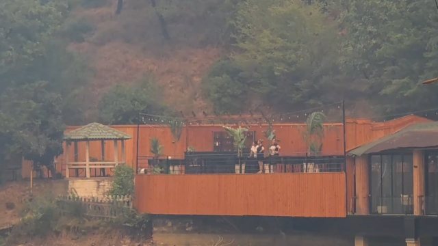 Zjarri në Qafën e Koshovicës në Fier, pronarja e një prej lokaleve të rrezikuar nga flakët kërkon ndërhyrje nga ajri: Po na digjet mundi i një jete