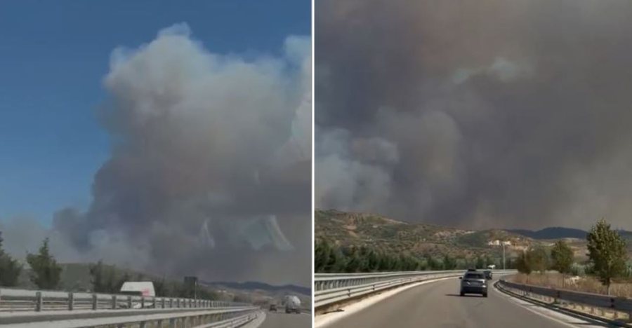 Itensifikohen flakët në Fier, shtëllungat e tymi duken që nga Vlora, zjarri “përpin” ullishtet dhe shkurret e Radostinës