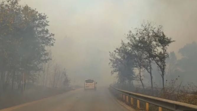 Shefi i Emergjencave Civile jep detaje për situatën e zjarrit në Fier