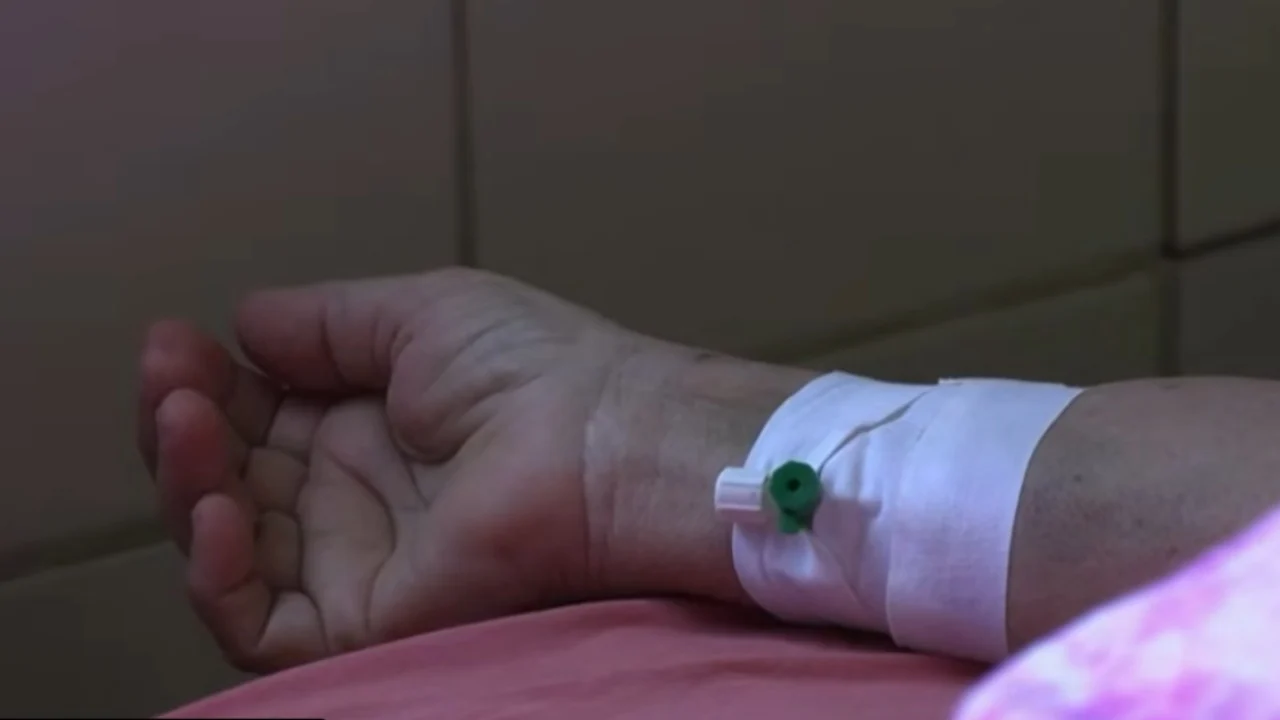Sëmundja e shiut në Evropë, 126 raste në 10 vende, ECDC: Rreziku për popullatën mbetet shumë i ulët