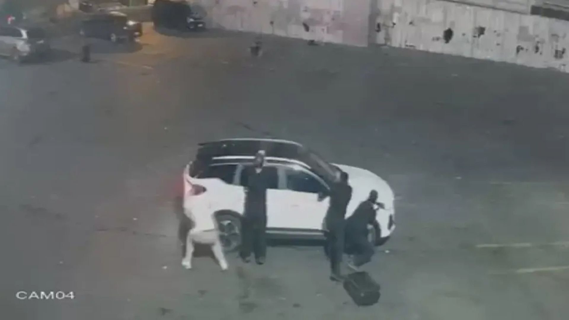 Autoritetet turke neutralizojnë 21-vjeçarin në Stamboll, po planifikonte një sulm terrorist në një stacion autobusësh